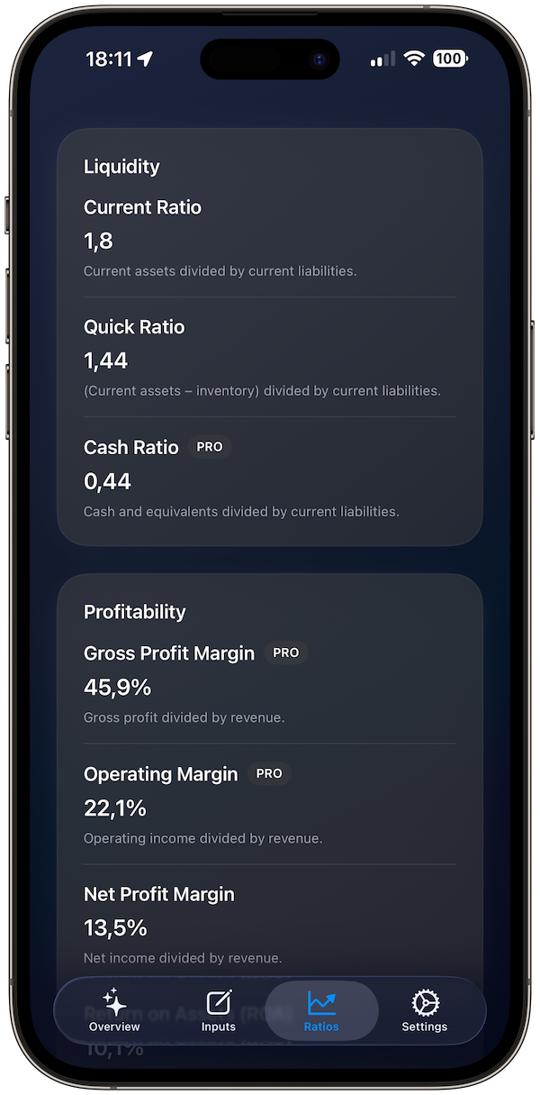 financial-ratios screenshot 5